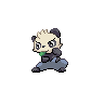 1189388spr-front-Pancham-(xy).PNG
