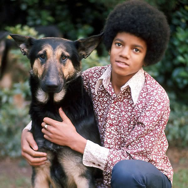5105900dogwithyoungmichael