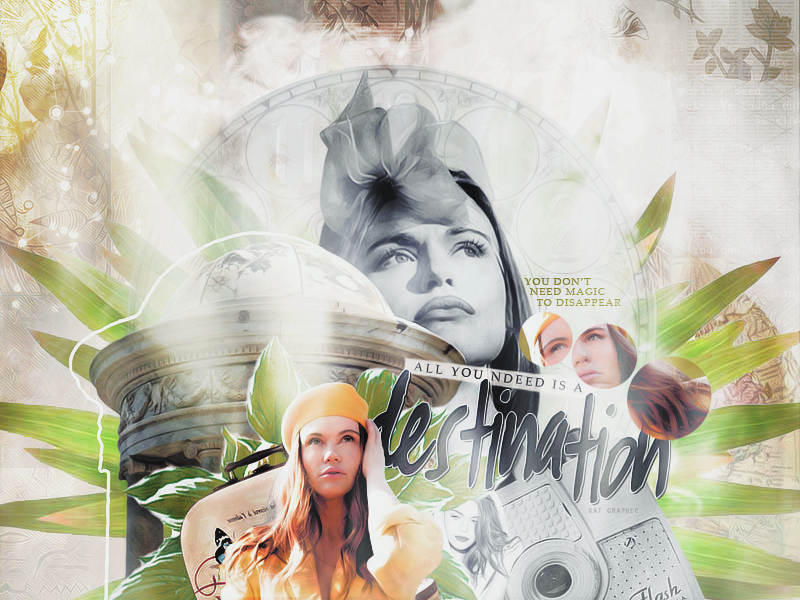 8932689Collage.HollandRoden